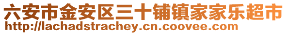 六安市金安區三十鋪鎮家家樂超市