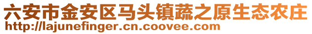 六安市金安區馬頭鎮蔬之原生態農莊