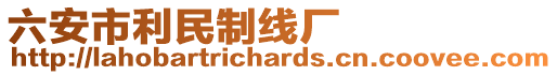 六安市利民制線廠