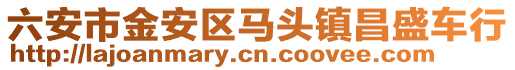六安市金安區(qū)馬頭鎮(zhèn)昌盛車行