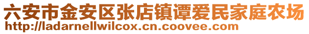 六安市金安區張店鎮譚愛民家庭農場