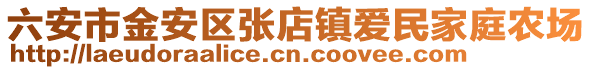 六安市金安區(qū)張店鎮(zhèn)愛民家庭農(nóng)場