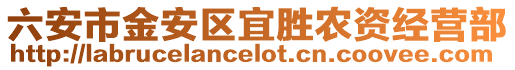 六安市金安區宜勝農資經營部