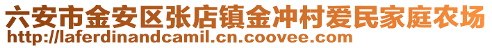 六安市金安區張店鎮金沖村愛民家庭農場