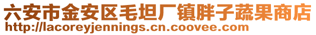 六安市金安區毛坦廠鎮胖子蔬果商店