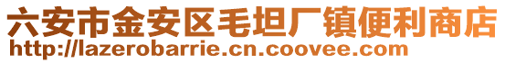 六安市金安區毛坦廠鎮便利商店