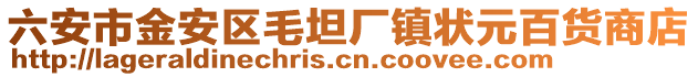 六安市金安區(qū)毛坦廠鎮(zhèn)狀元百貨商店