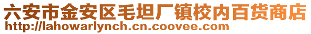 六安市金安區毛坦廠鎮校內百貨商店