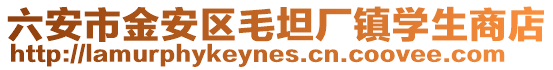 六安市金安區毛坦廠鎮學生商店