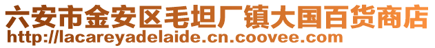 六安市金安區毛坦廠鎮大國百貨商店