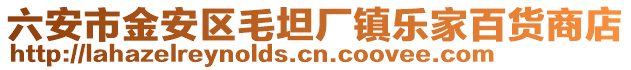 六安市金安區毛坦廠鎮樂家百貨商店
