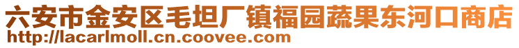 六安市金安區毛坦廠鎮福園蔬果東河口商店
