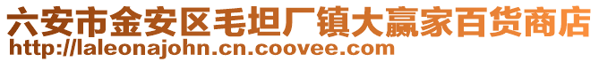 六安市金安區毛坦廠鎮大贏家百貨商店