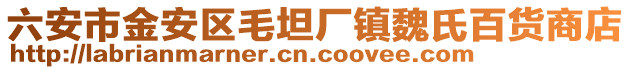 六安市金安區(qū)毛坦廠鎮(zhèn)魏氏百貨商店