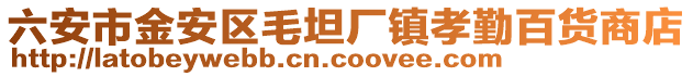 六安市金安區毛坦廠鎮孝勤百貨商店