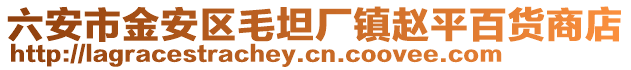 六安市金安區(qū)毛坦廠鎮(zhèn)趙平百貨商店