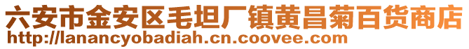 六安市金安區毛坦廠鎮黃昌菊百貨商店