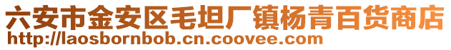 六安市金安區毛坦廠鎮楊青百貨商店