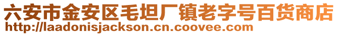 六安市金安區毛坦廠鎮老字號百貨商店
