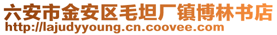 六安市金安區(qū)毛坦廠鎮(zhèn)博林書店
