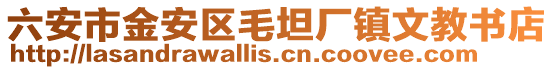 六安市金安區毛坦廠鎮文教書店