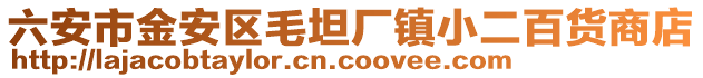六安市金安區毛坦廠鎮小二百貨商店