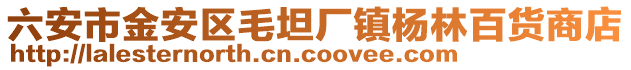 六安市金安區毛坦廠鎮楊林百貨商店