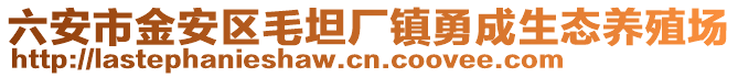 六安市金安區(qū)毛坦廠鎮(zhèn)勇成生態(tài)養(yǎng)殖場
