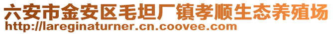 六安市金安區(qū)毛坦廠鎮(zhèn)孝順生態(tài)養(yǎng)殖場