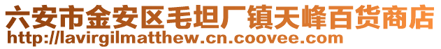 六安市金安區(qū)毛坦廠鎮(zhèn)天峰百貨商店