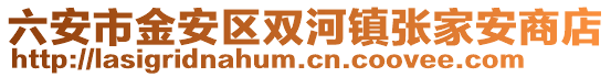 六安市金安區雙河鎮張家安商店