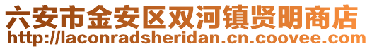 六安市金安區雙河鎮賢明商店