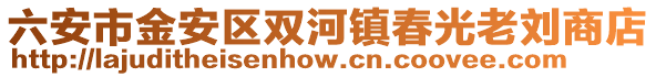六安市金安區(qū)雙河鎮(zhèn)春光老劉商店