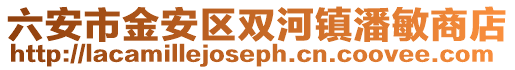 六安市金安區雙河鎮潘敏商店