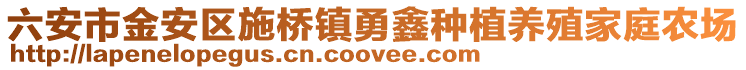 六安市金安區施橋鎮勇鑫種植養殖家庭農場