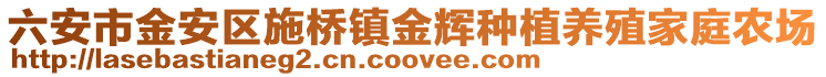 六安市金安區(qū)施橋鎮(zhèn)金輝種植養(yǎng)殖家庭農(nóng)場