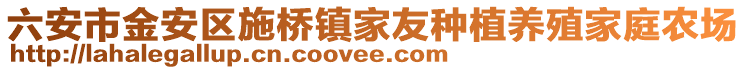 六安市金安區施橋鎮家友種植養殖家庭農場