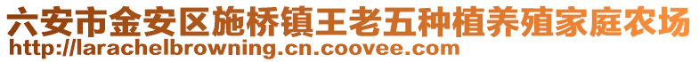 六安市金安區(qū)施橋鎮(zhèn)王老五種植養(yǎng)殖家庭農(nóng)場