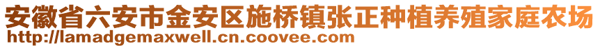 安徽省六安市金安區施橋鎮張正種植養殖家庭農場
