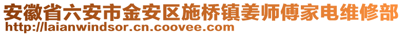 安徽省六安市金安區施橋鎮姜師傅家電維修部