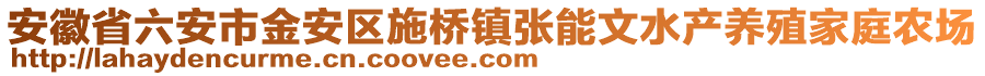安徽省六安市金安區施橋鎮張能文水產養殖家庭農場