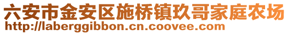 六安市金安區(qū)施橋鎮(zhèn)玖哥家庭農(nóng)場