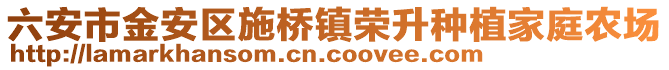 六安市金安區(qū)施橋鎮(zhèn)榮升種植家庭農場