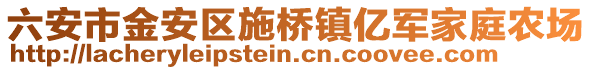 六安市金安區(qū)施橋鎮(zhèn)億軍家庭農(nóng)場(chǎng)