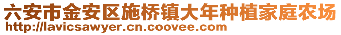 六安市金安區(qū)施橋鎮(zhèn)大年種植家庭農場