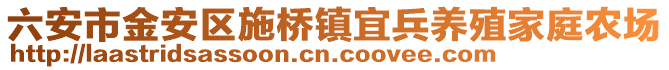 六安市金安區施橋鎮宜兵養殖家庭農場
