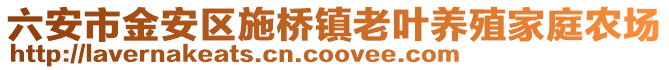 六安市金安區施橋鎮老葉養殖家庭農場