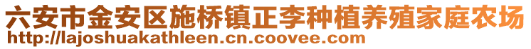 六安市金安區(qū)施橋鎮(zhèn)正李種植養(yǎng)殖家庭農(nóng)場(chǎng)