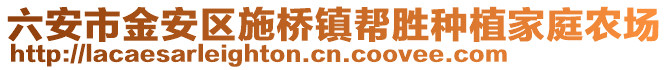 六安市金安區(qū)施橋鎮(zhèn)幫勝種植家庭農(nóng)場