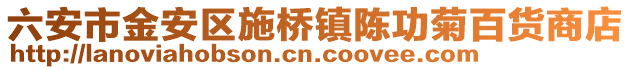 六安市金安區施橋鎮陳功菊百貨商店